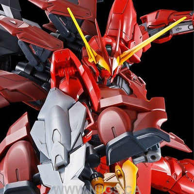 LIMITED Premium Bandai MG 1/100 Testament Gundam
