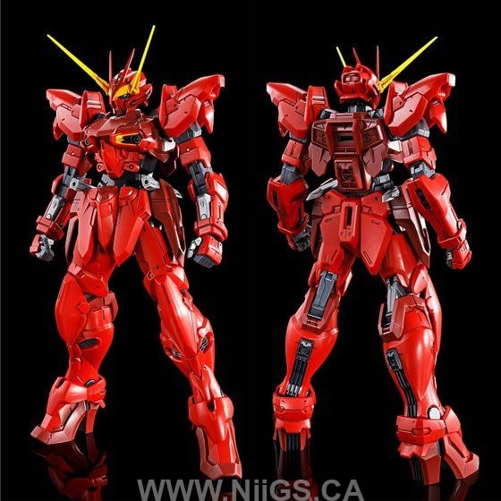 LIMITED Premium Bandai MG 1/100 Testament Gundam