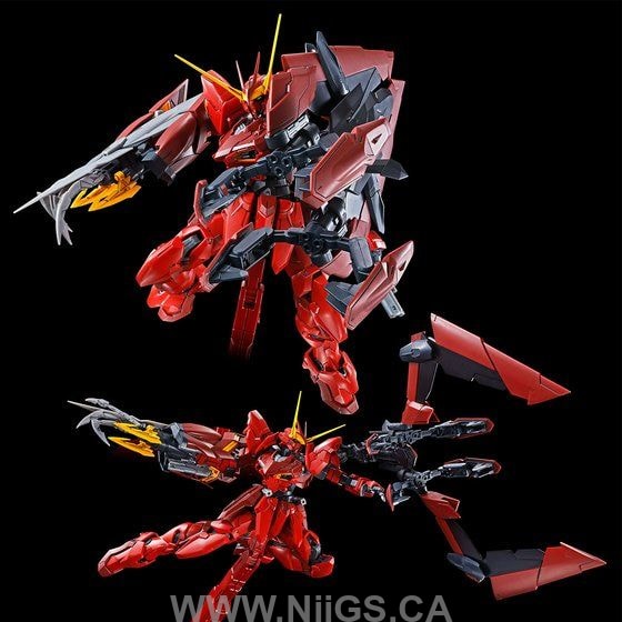 LIMITED Premium Bandai MG 1/100 Testament Gundam