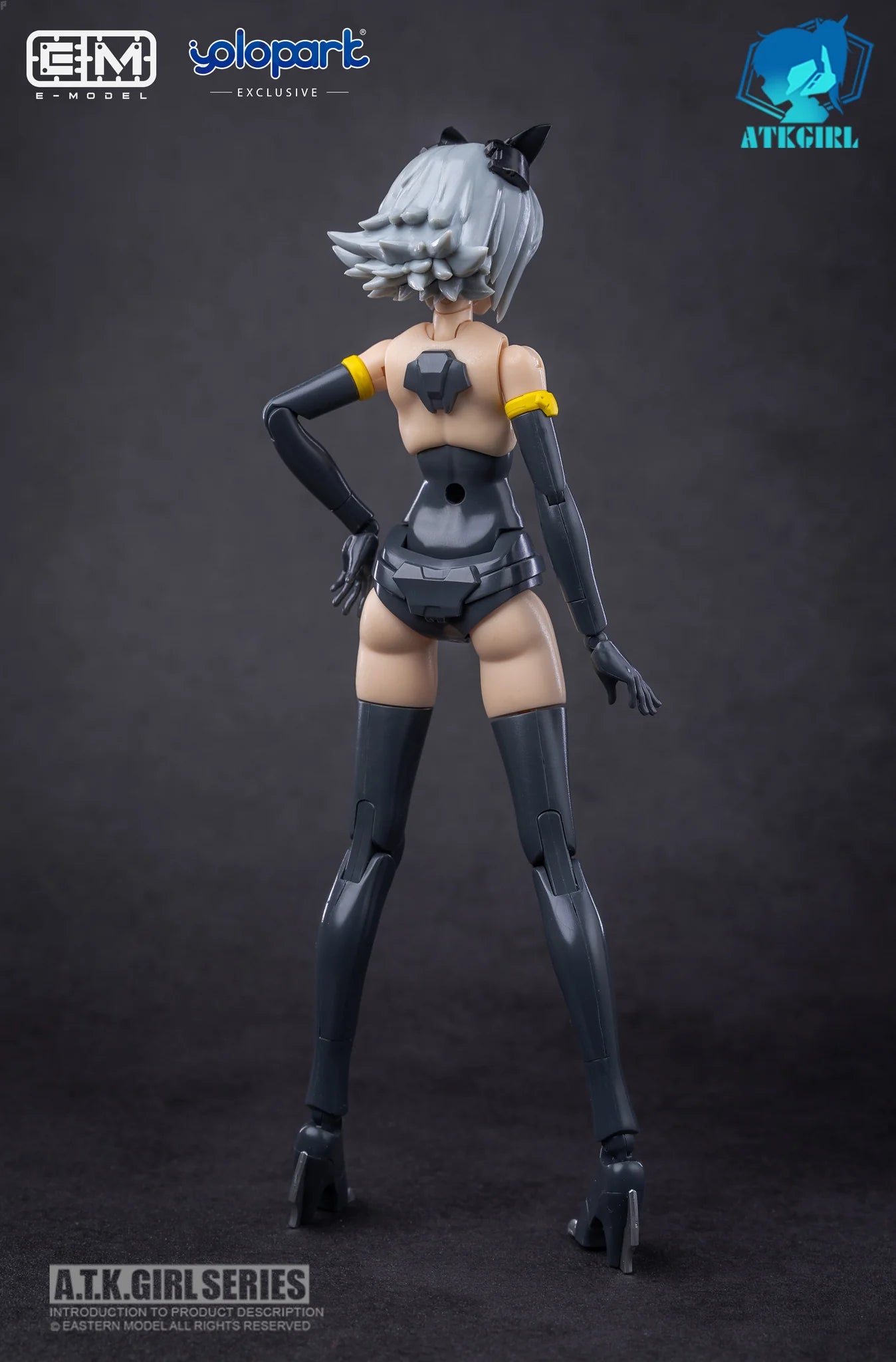 E-Model A.T.K GIRL Fenrir