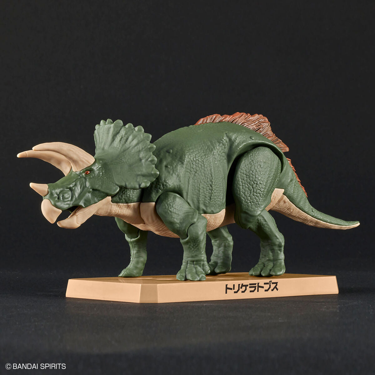BANDAI New Dinosaur Plastic Model Kit Brand Triceratops