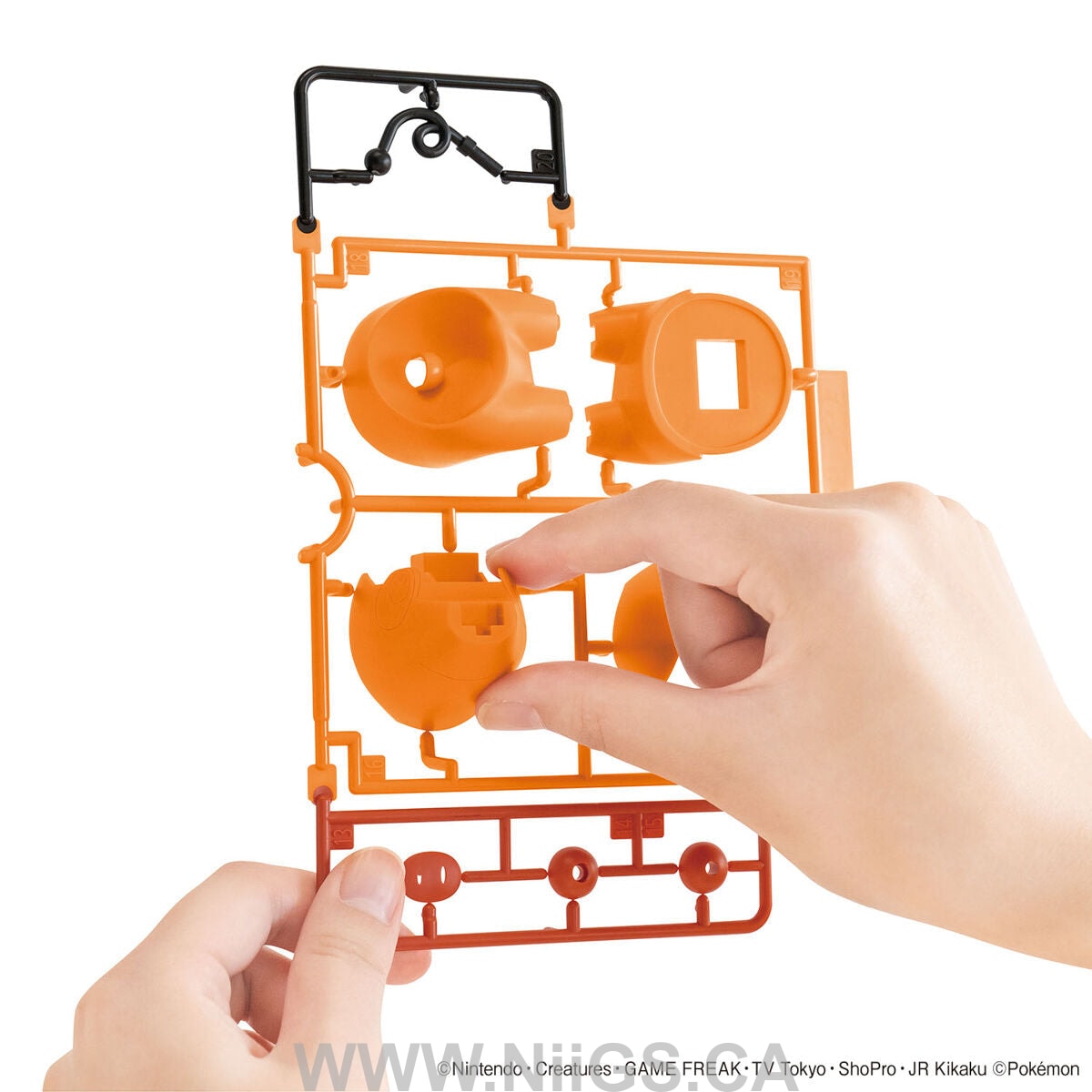 BANDAI Hobby Pokémon Model Kit QUICK!! 14 TEPIG