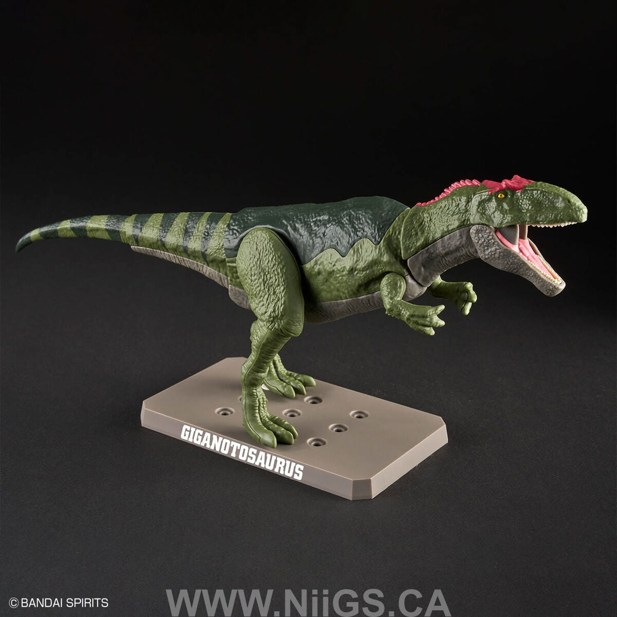 BANDAI Hobby PLANNOSAURUS Giganotosaurus
