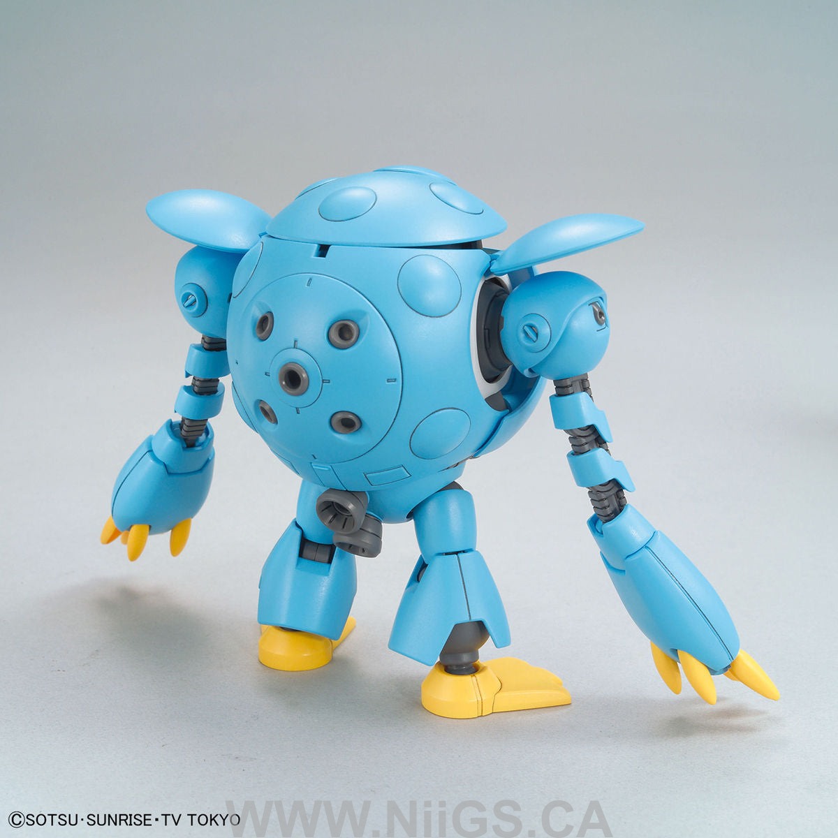 HGBD 1/144 Momokapool