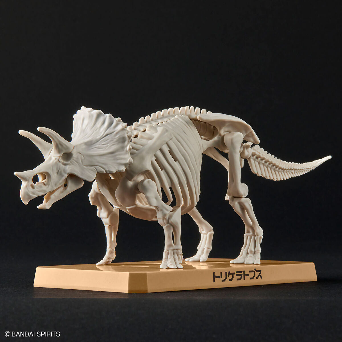 BANDAI New Dinosaur Plastic Model Kit Brand Triceratops