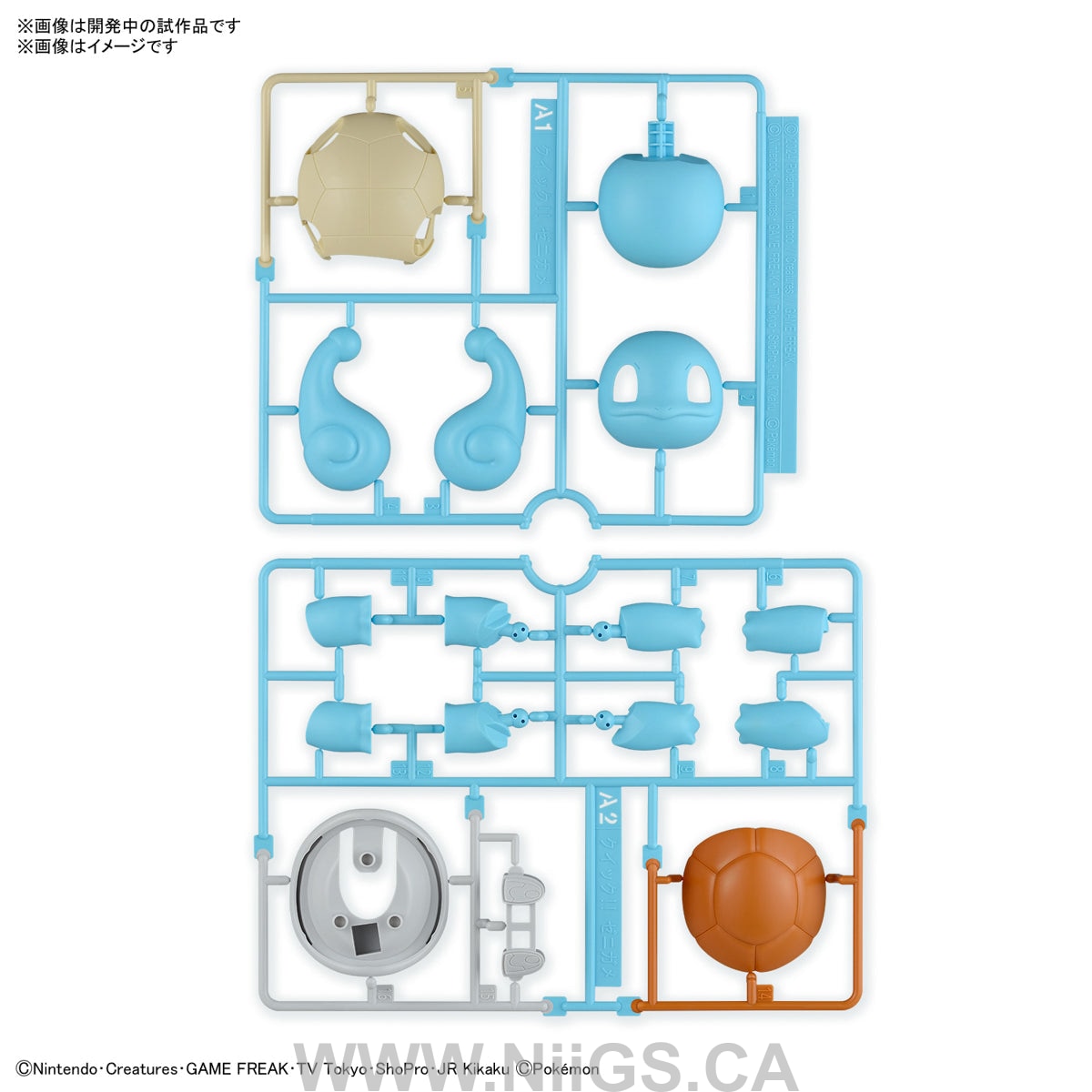 BANDAI Pokémon Model Kit QUICK!! 17 SQUIRTLE