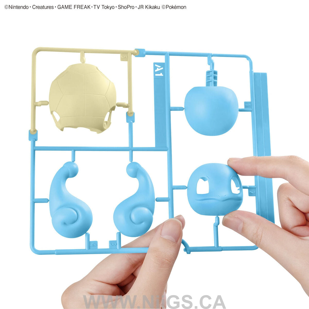 BANDAI Pokémon Model Kit QUICK!! 17 SQUIRTLE