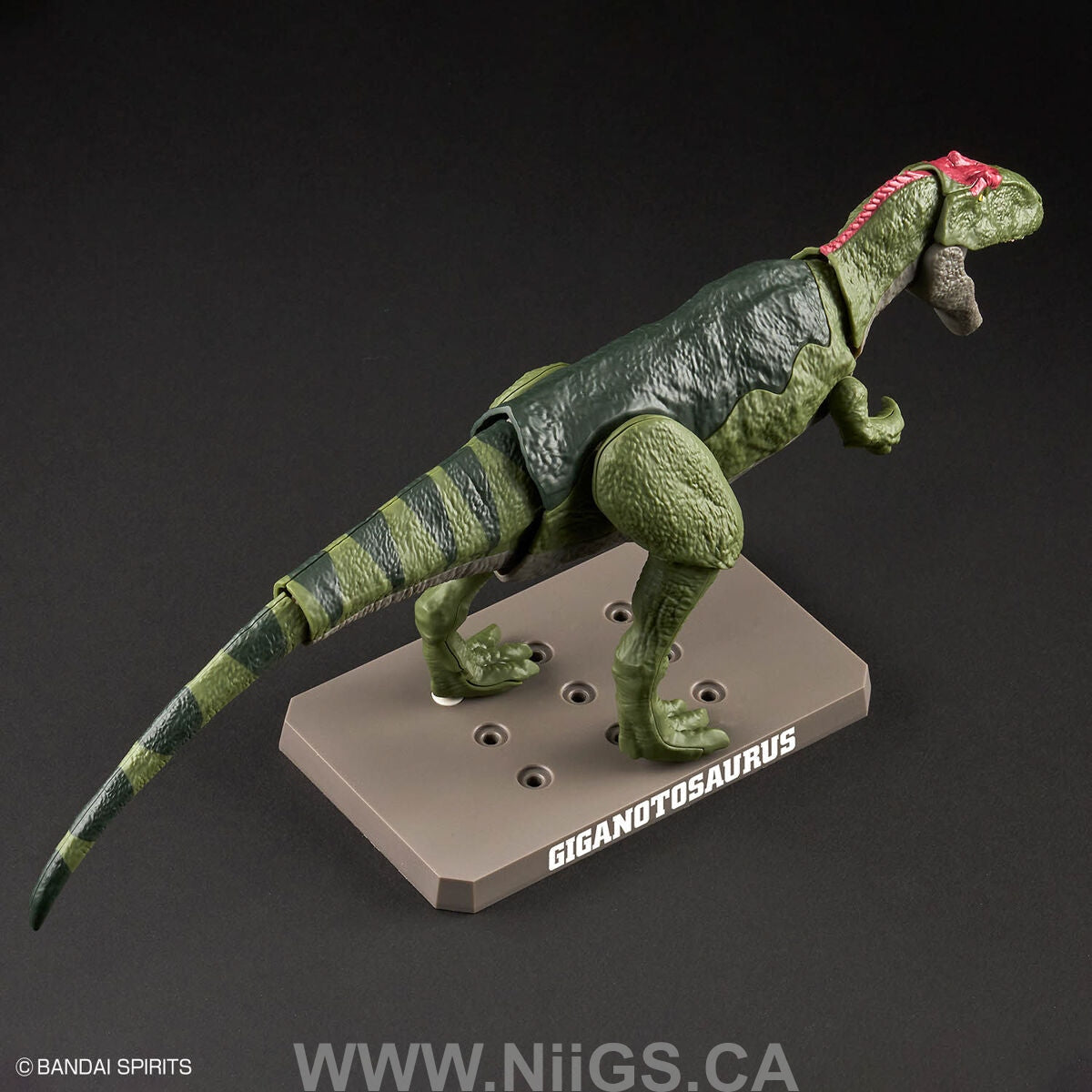 BANDAI Hobby PLANNOSAURUS Giganotosaurus