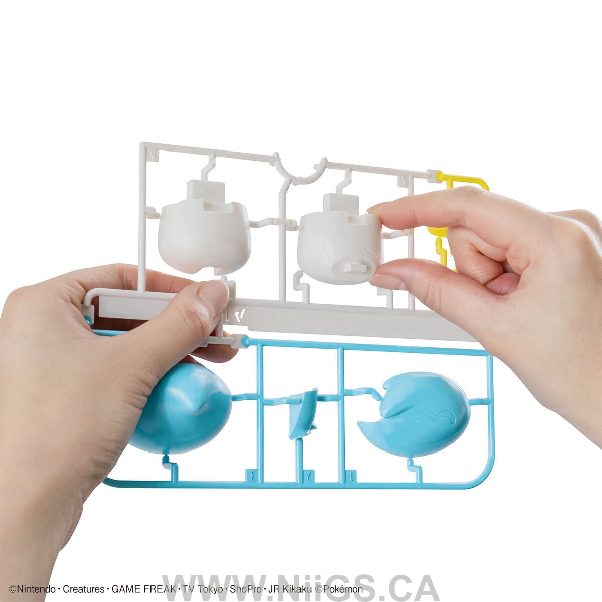 BANDAI Hobby Pokémon Model Kit QUICK!! 19 QUAXLY