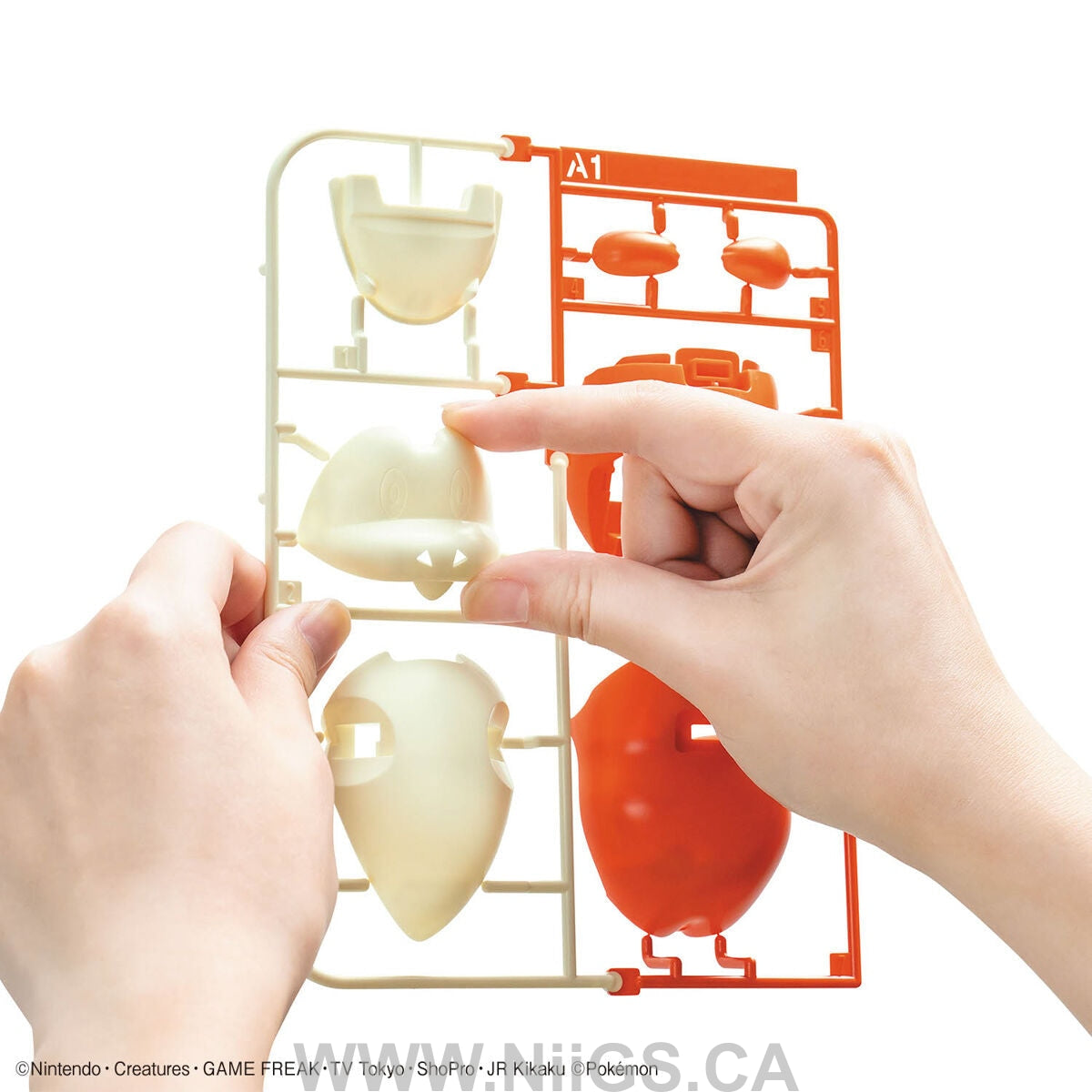 BANDAI Hobby Pokémon Model Kit QUICK!! 20 FUECOCO