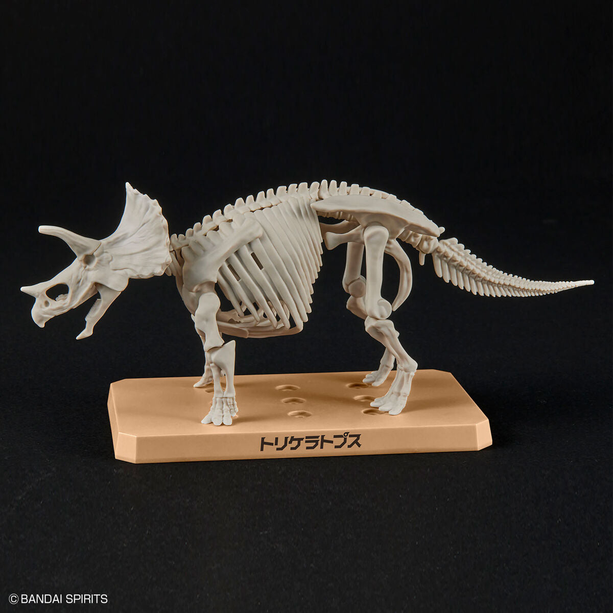 BANDAI New Dinosaur Plastic Model Kit Brand Triceratops