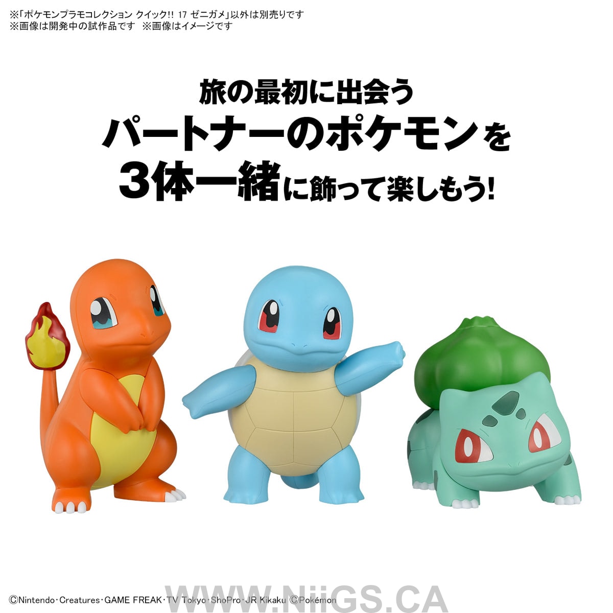 BANDAI Pokémon Model Kit QUICK!! 17 SQUIRTLE