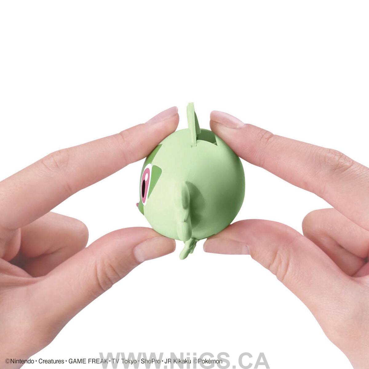 BANDAI Hobby Pokémon Model Kit QUICK!! 18 SPRIGATITO