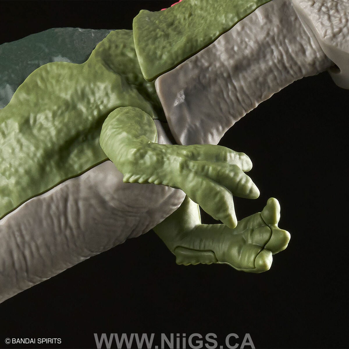BANDAI Hobby PLANNOSAURUS Giganotosaurus