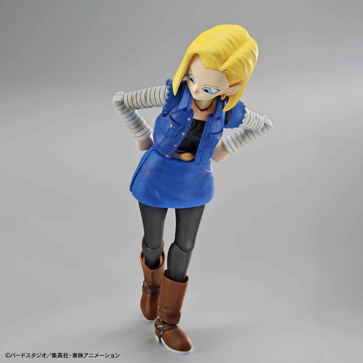 BANDAI Hobby Figure-rise Standard ANDROID No. 18 (Renewal Version)