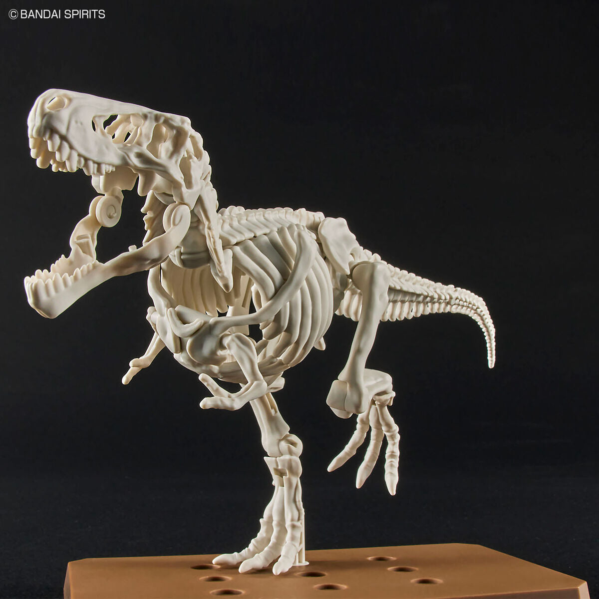BANDAI New Dinosaur Plastic Model Kit Brand Tyrannosaurus