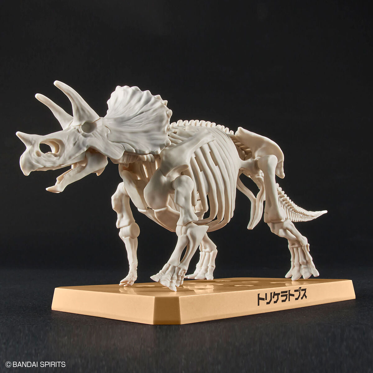 BANDAI New Dinosaur Plastic Model Kit Brand Triceratops