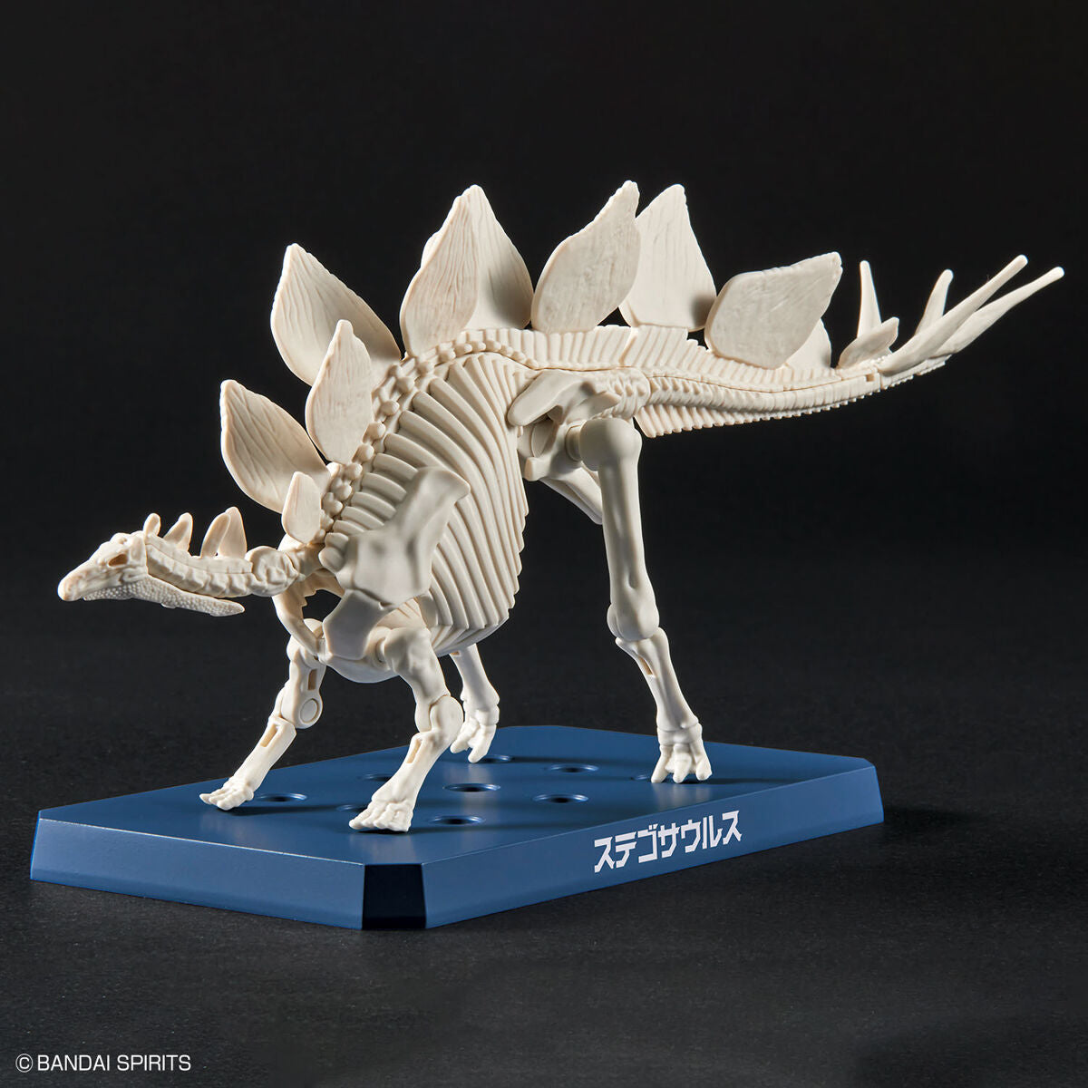 BANDAI New Dinosaur Plastic Model Kit Brand Stegosaurus