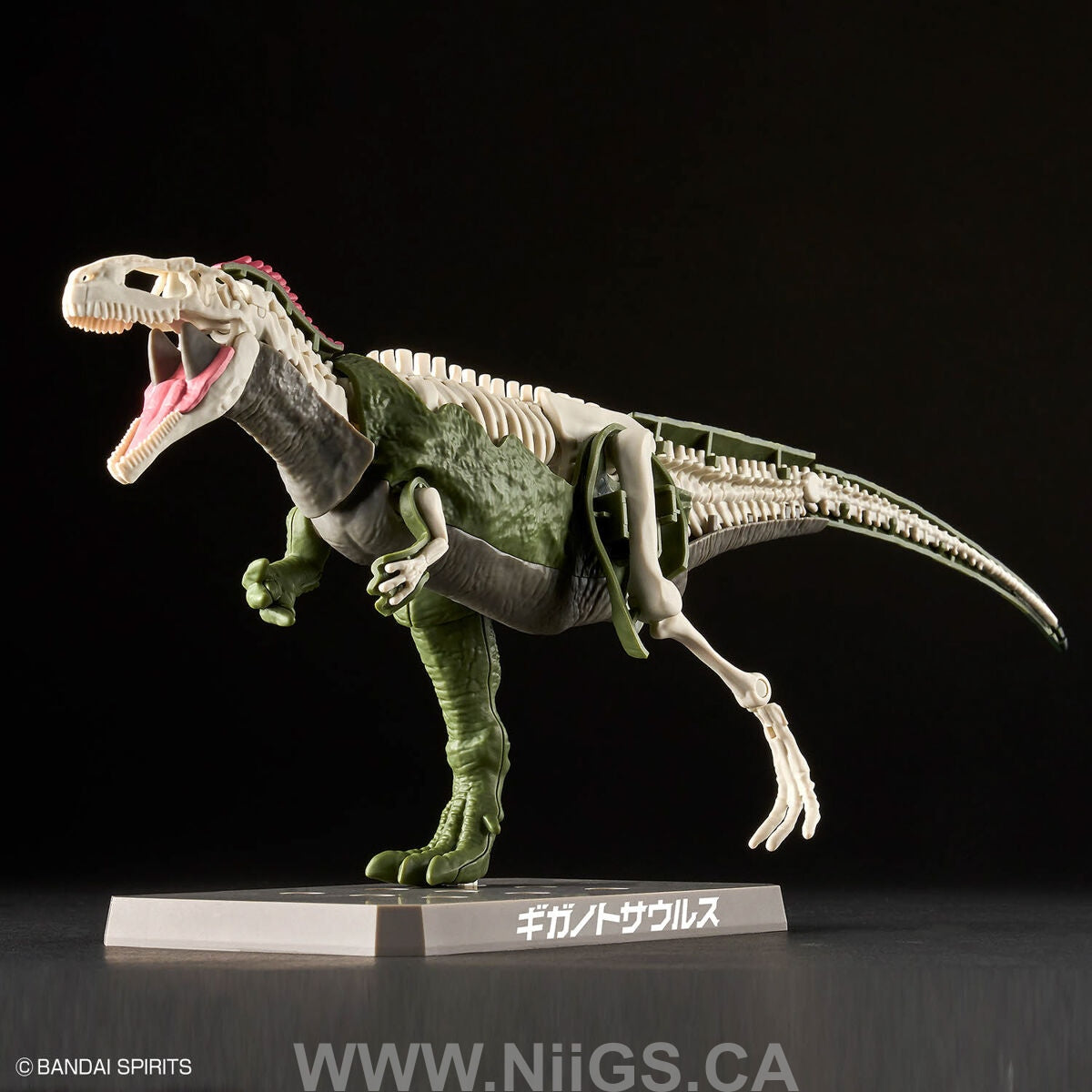BANDAI Hobby PLANNOSAURUS Giganotosaurus