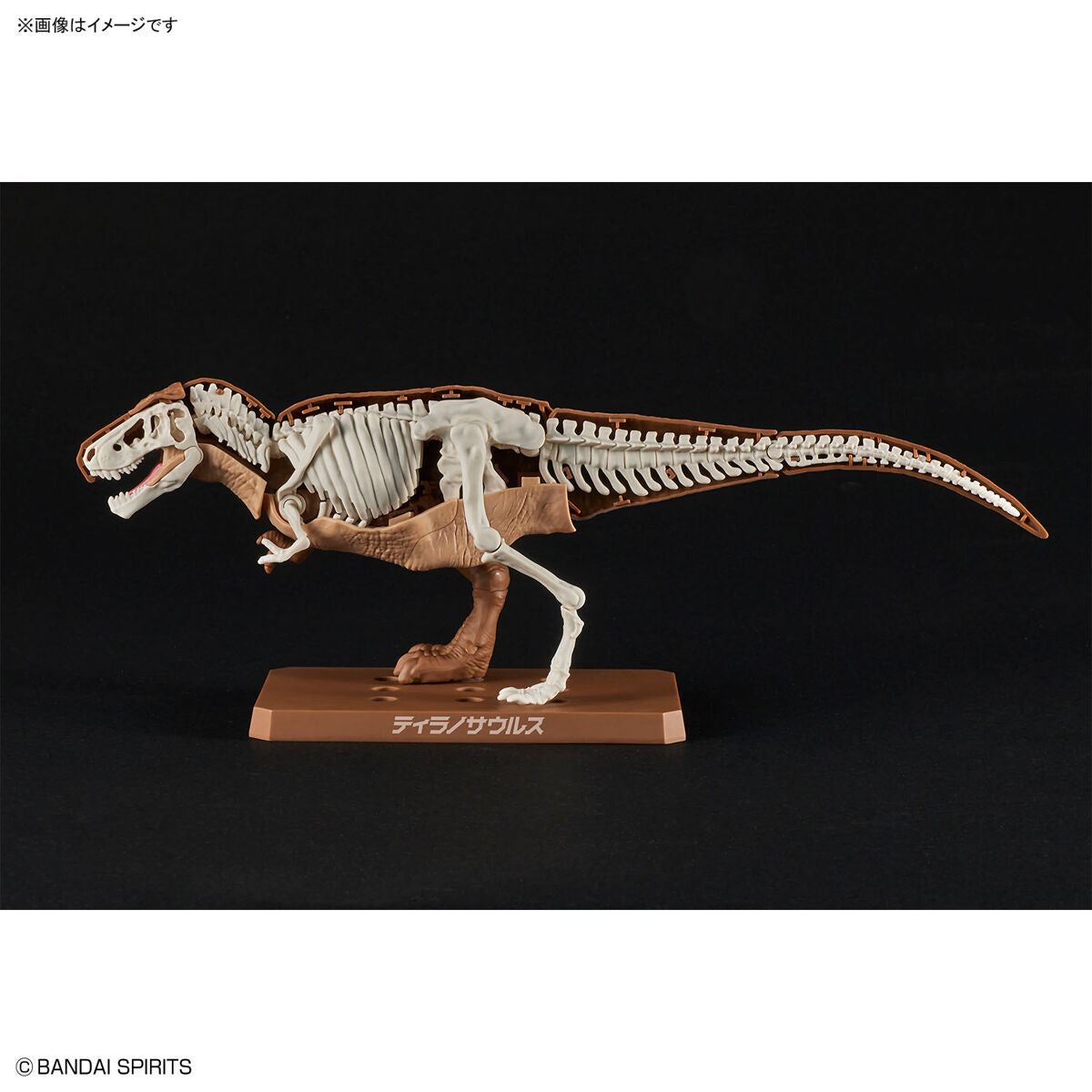 BANDAI New Dinosaur Plastic Model Kit Brand Tyrannosaurus