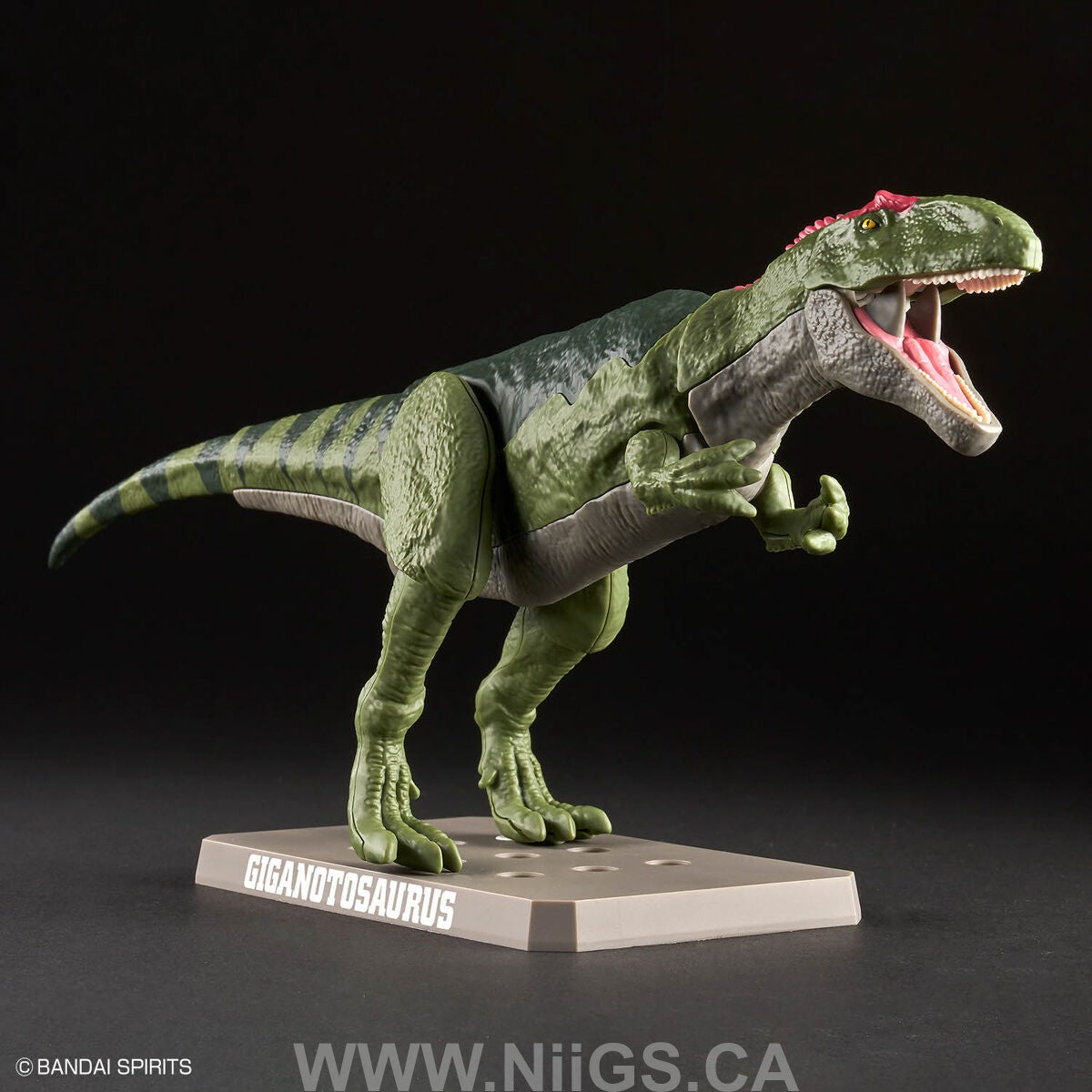 BANDAI Hobby PLANNOSAURUS Giganotosaurus