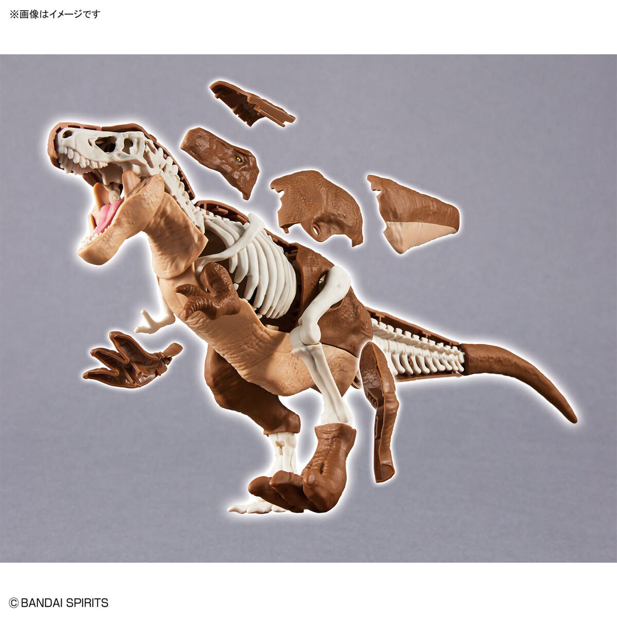 BANDAI New Dinosaur Plastic Model Kit Brand Tyrannosaurus