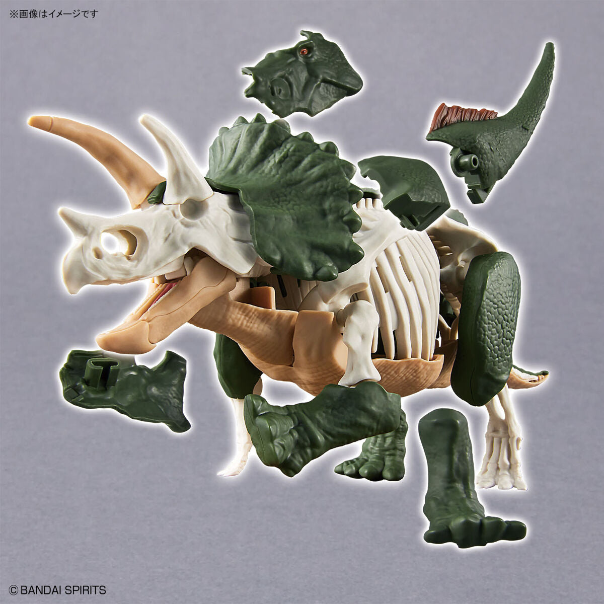 BANDAI New Dinosaur Plastic Model Kit Brand Triceratops
