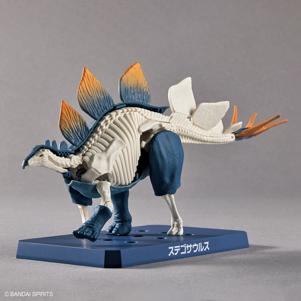 BANDAI New Dinosaur Plastic Model Kit Brand Stegosaurus