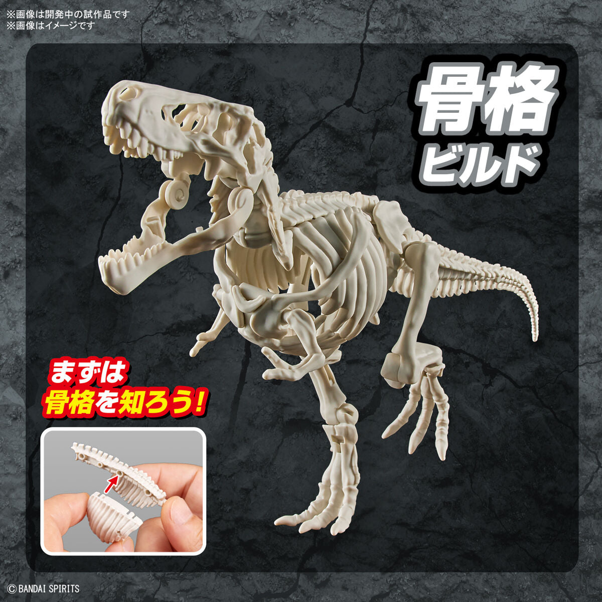 BANDAI New Dinosaur Plastic Model Kit Brand Tyrannosaurus