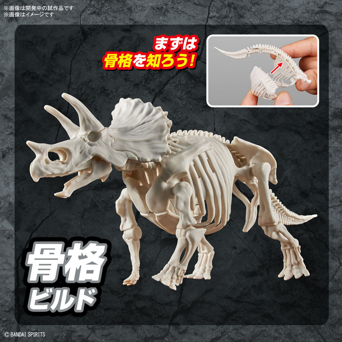 BANDAI New Dinosaur Plastic Model Kit Brand Triceratops