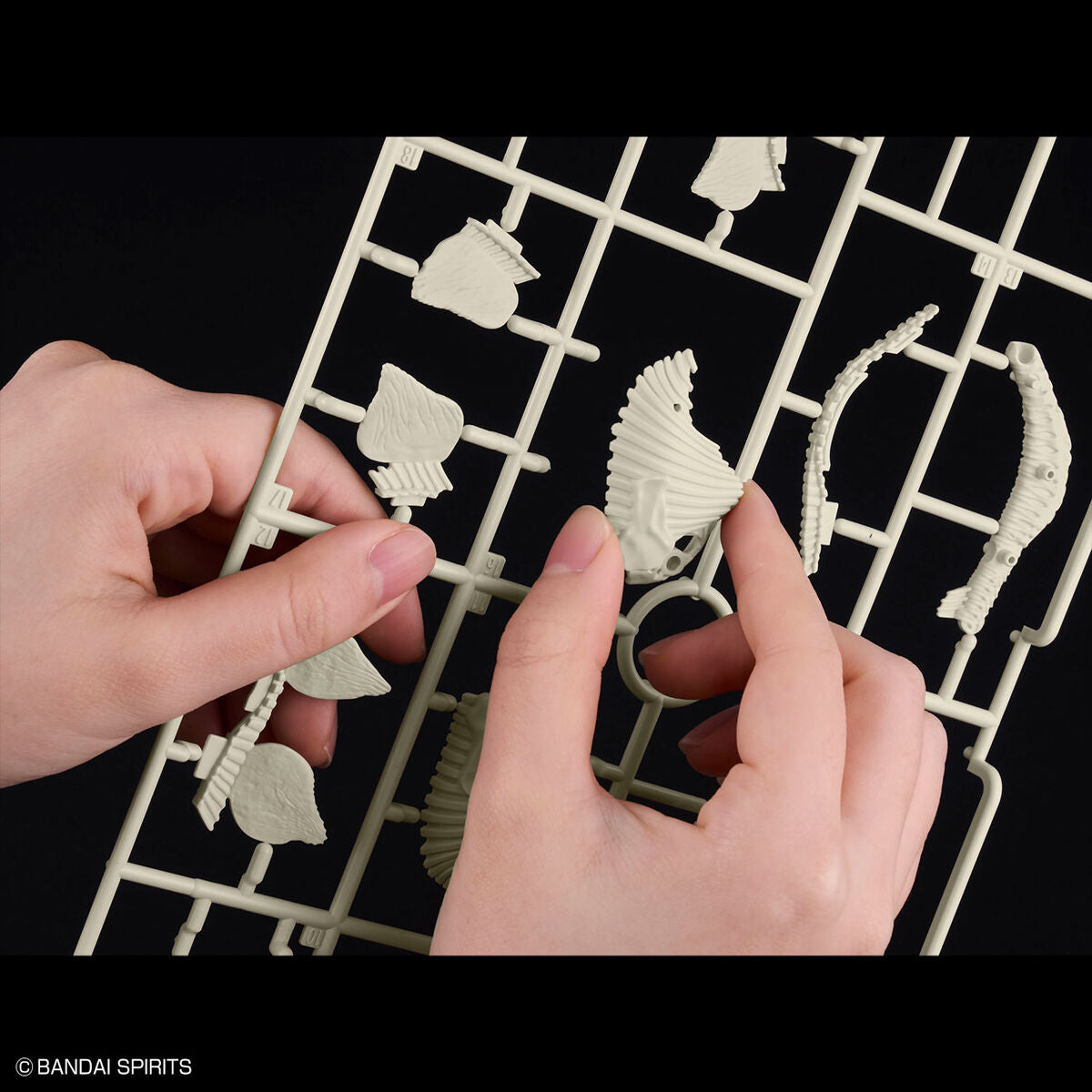 BANDAI New Dinosaur Plastic Model Kit Brand Stegosaurus
