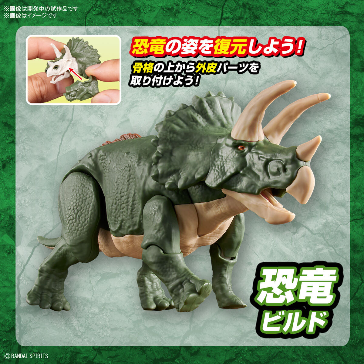 BANDAI New Dinosaur Plastic Model Kit Brand Triceratops