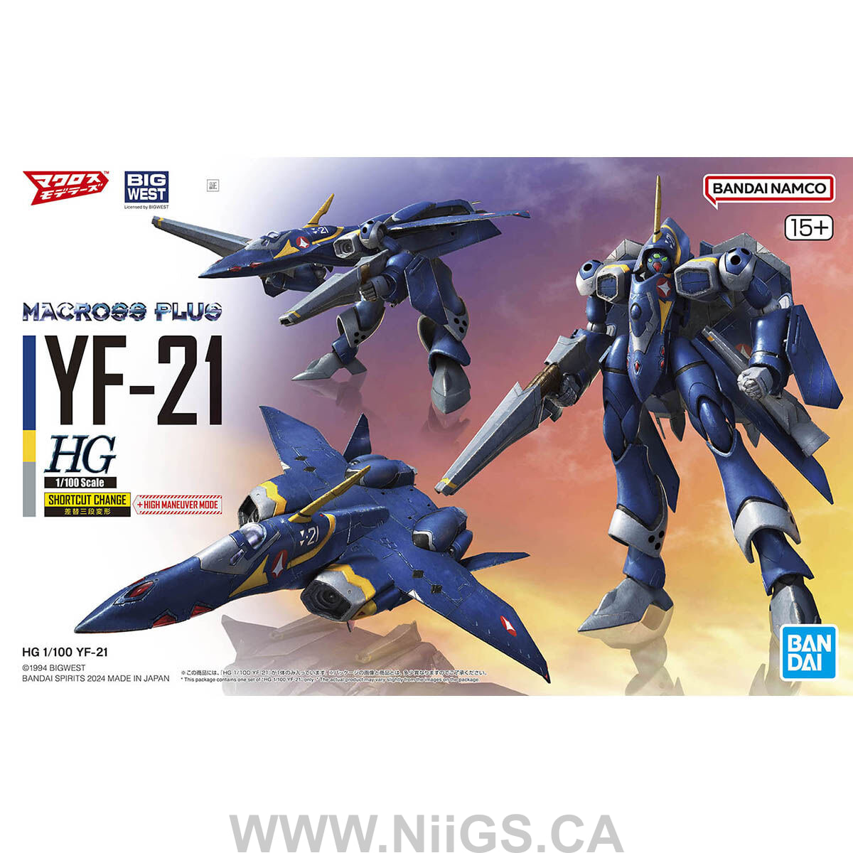 BANDAI HG 1/100 YF-21