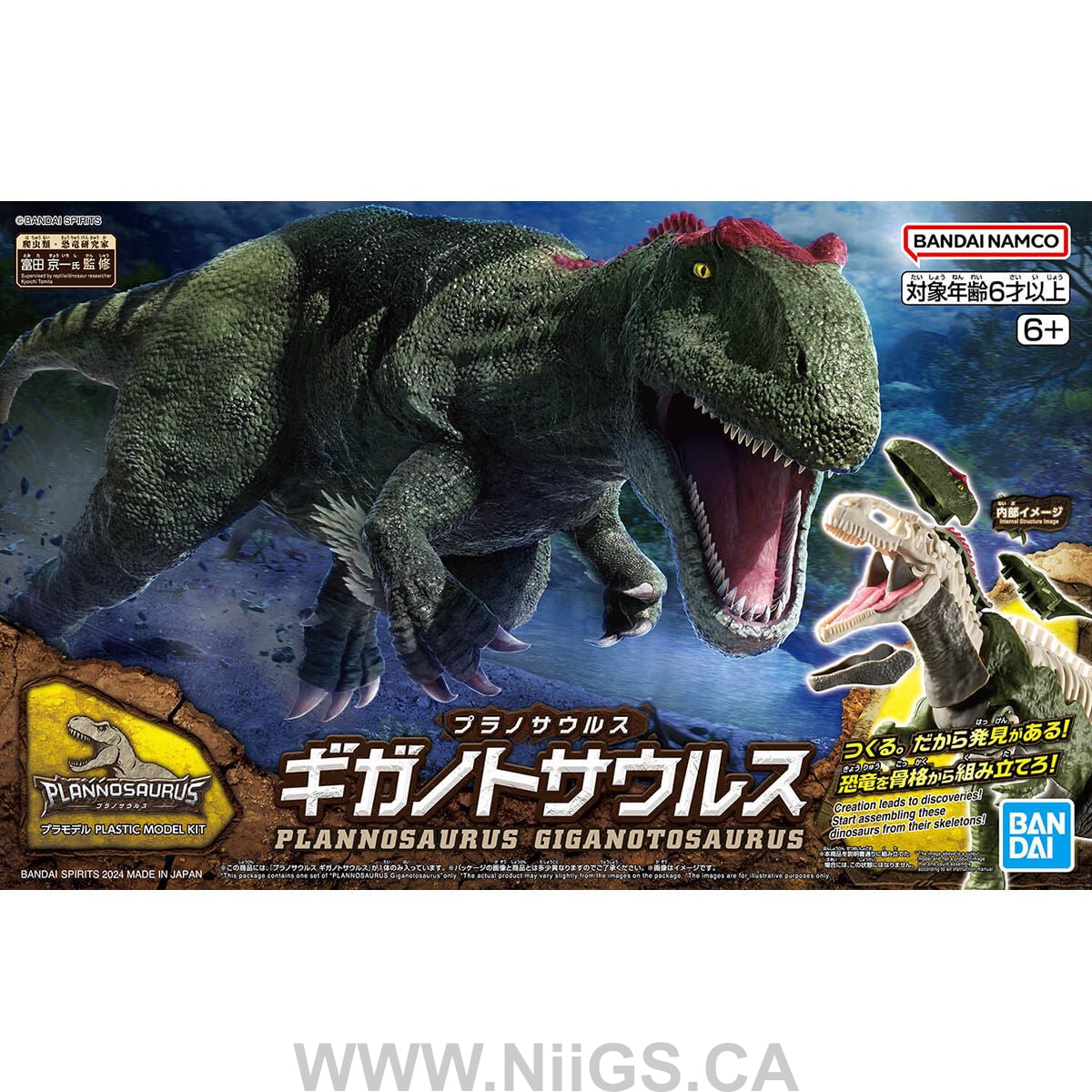 BANDAI Hobby PLANNOSAURUS Giganotosaurus