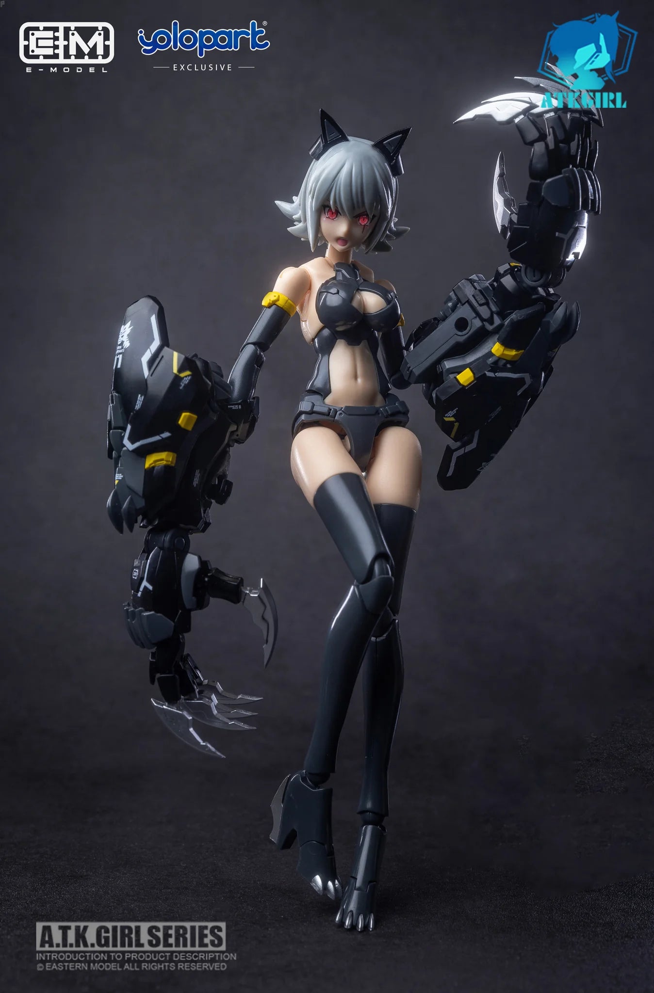 E-Model A.T.K GIRL Fenrir