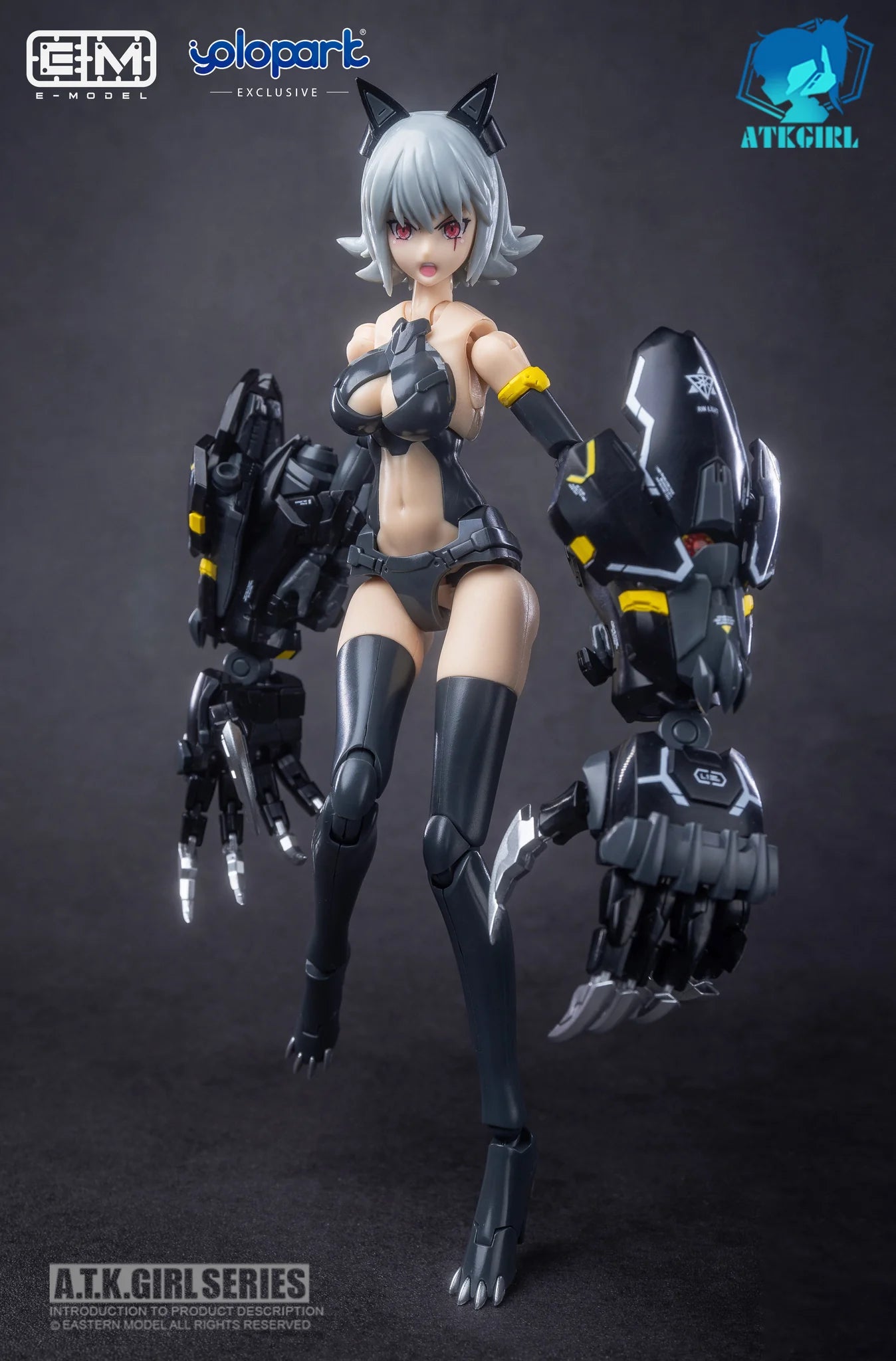 E-Model A.T.K GIRL Fenrir
