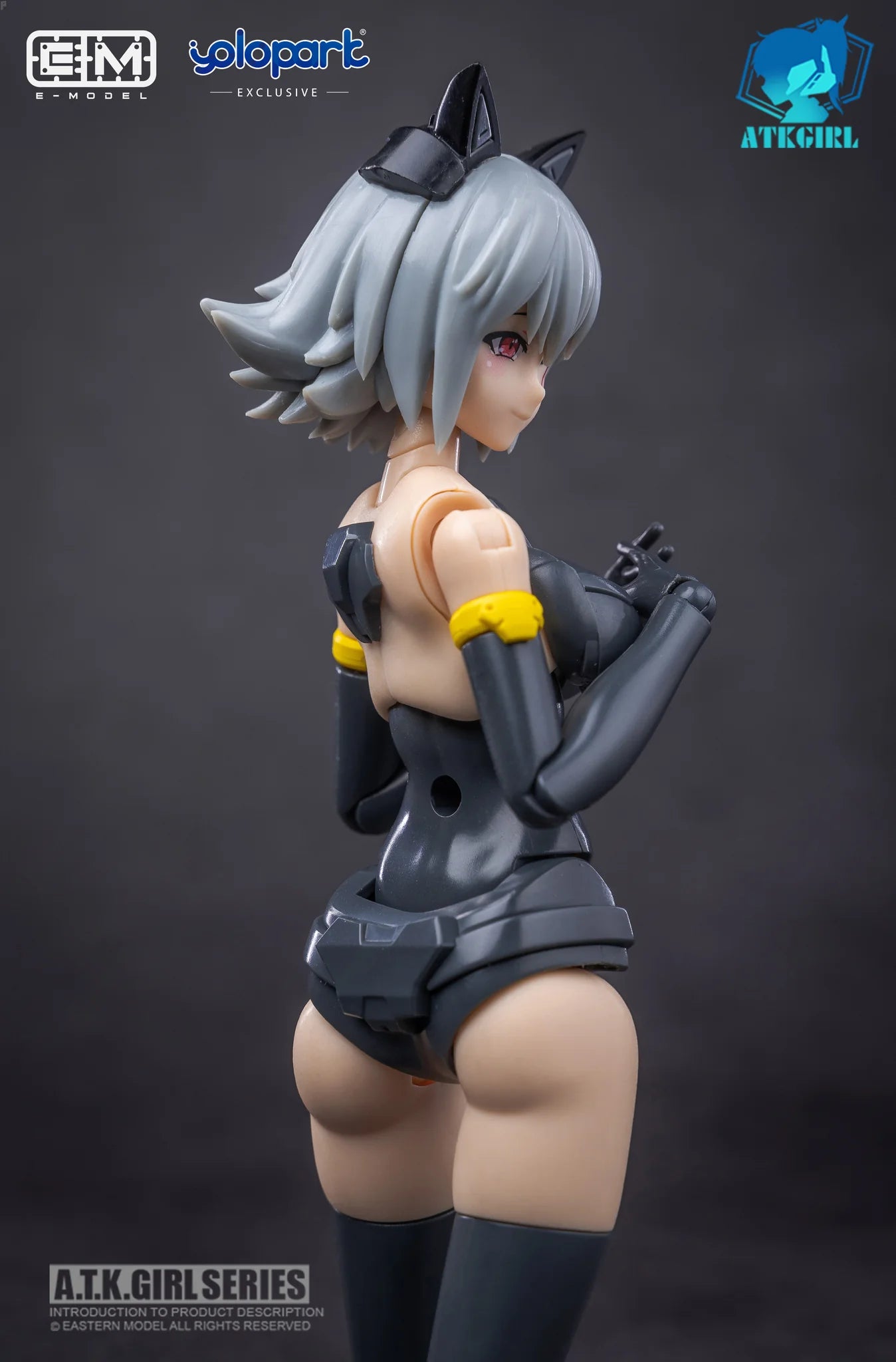 E-Model A.T.K GIRL Fenrir