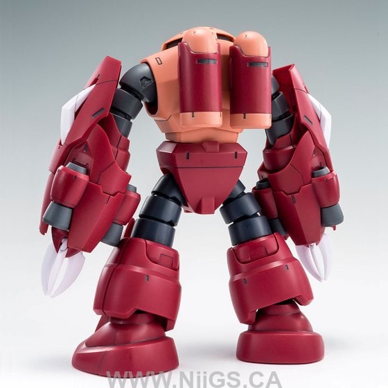 LIMITED Premium Bandai HG 1/144 AMAZING Z'GOK