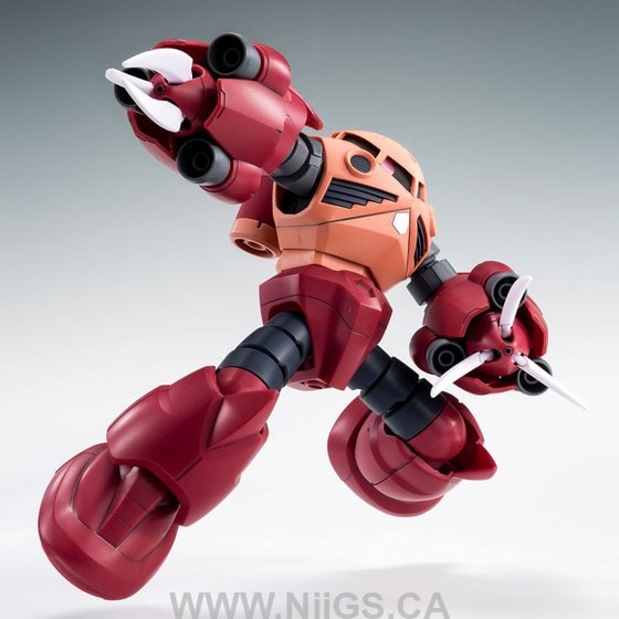 LIMITED Premium Bandai HG 1/144 AMAZING Z'GOK