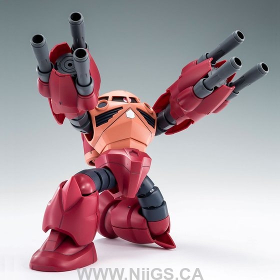 LIMITED Premium Bandai HG 1/144 AMAZING Z'GOK