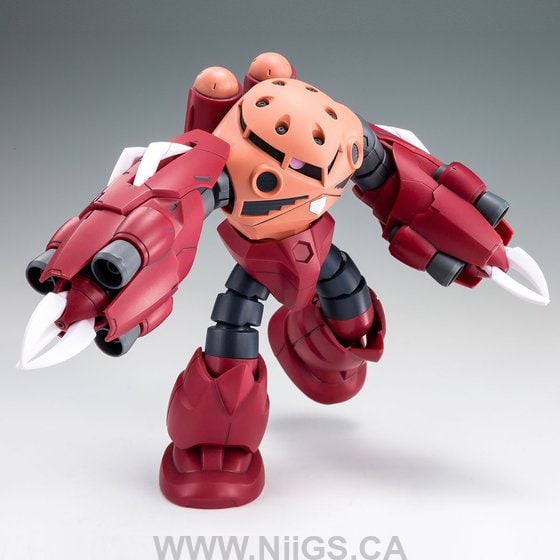 LIMITED Premium Bandai HG 1/144 AMAZING Z'GOK