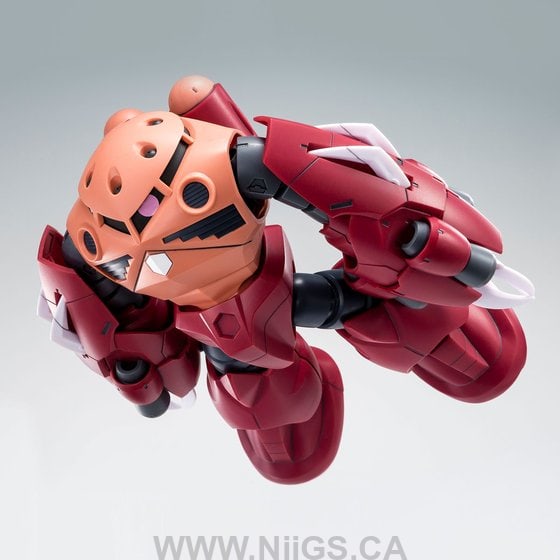 LIMITED Premium Bandai HG 1/144 AMAZING Z'GOK