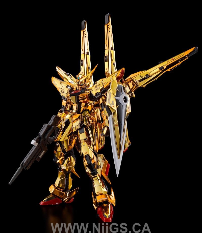 LIMITED Premium Bandai RG 1/144 SHIRANUI unit for AKATSUKI GUNDAM & CONNECTING PARTS for HG ZEUS SILHOUETTE