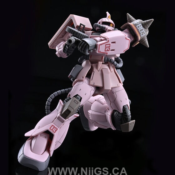 LIMITED Premium Bandai HG 1/144 ZAKU DESERT TYPE PINK PANTHER FORCES