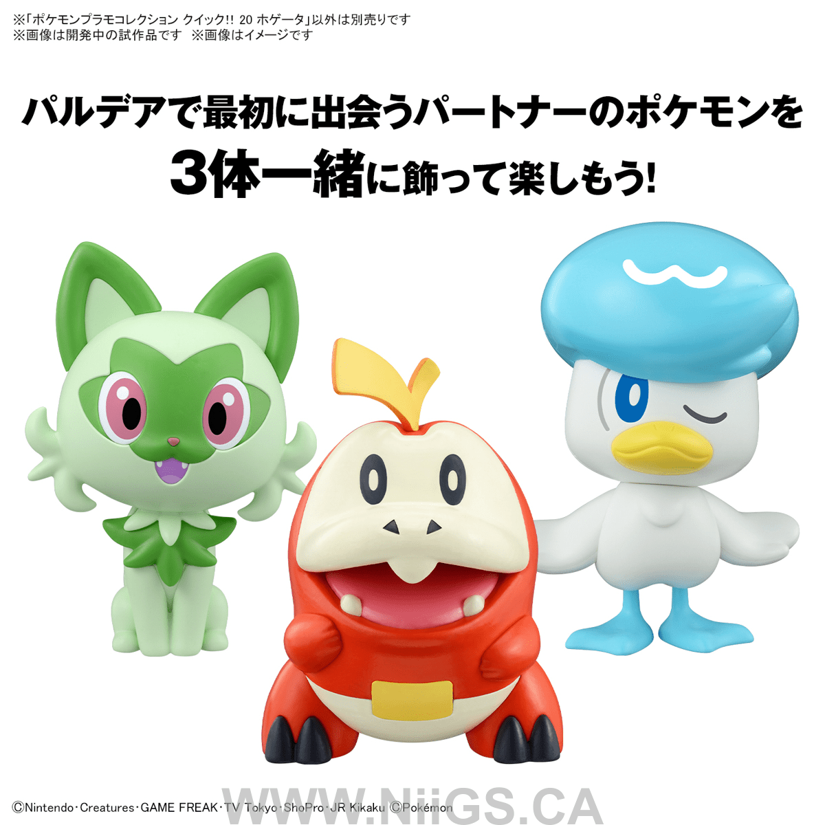 BANDAI Hobby Pokémon Model Kit QUICK!! 20 FUECOCO