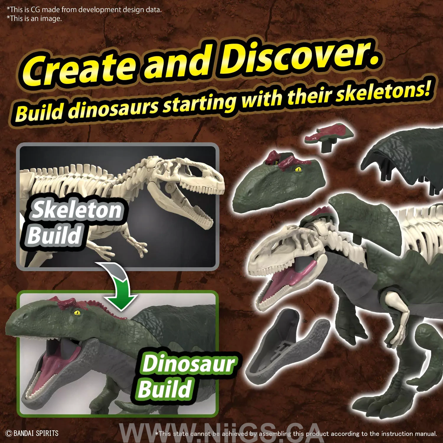 BANDAI Hobby PLANNOSAURUS Giganotosaurus