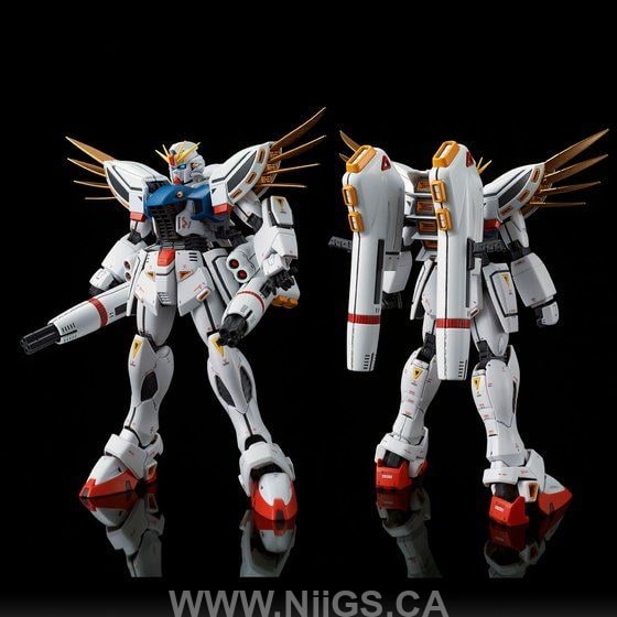 LIMITED Premium Bandai MG 1/100 GUNDAM F91 ver2.0 BACK CANON TYPE & TWIN V.S.B.R. SET UP TYPE