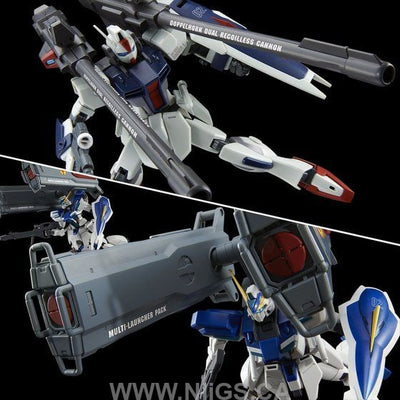 LIMITED Premium Bandai HG 1/144 Expansion set for WINDAM & Dagger L
