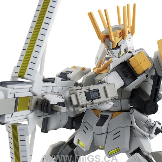 LIMITED Premium Bandai HG 1/144 WHITE RIDER