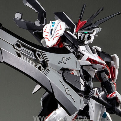 LIMITED Premium Bandai HG 1/144 LOAD ASTRAY Ω